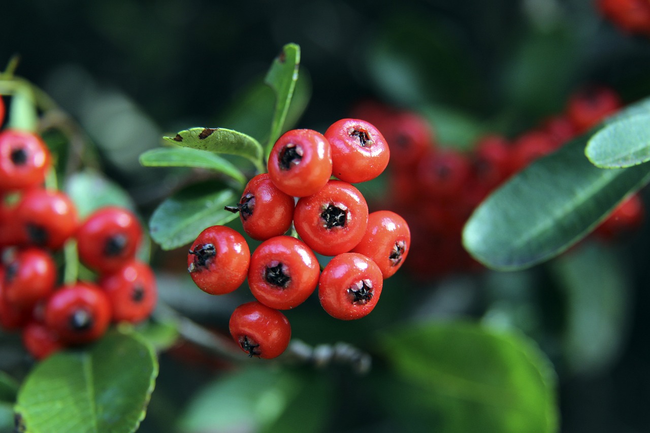 功奠定了重 功奠定了重