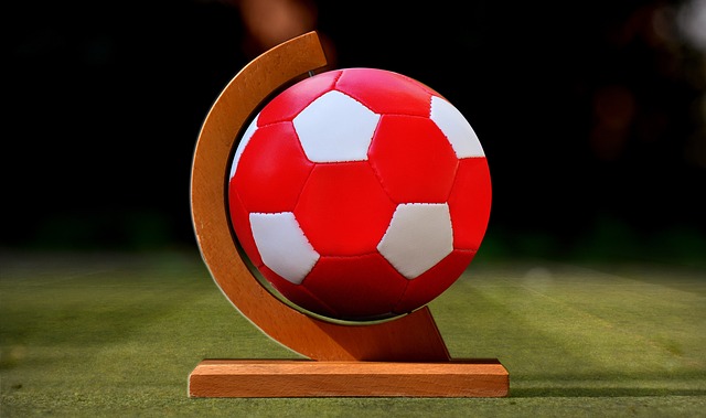 国米的完美 国米的完美