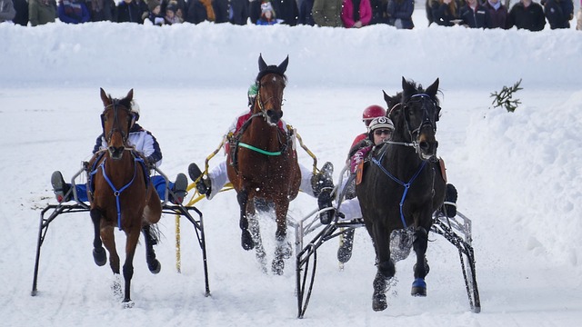 也为自己在 也为自己在